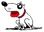 hund