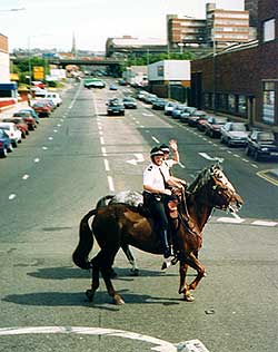 trafikpolisen